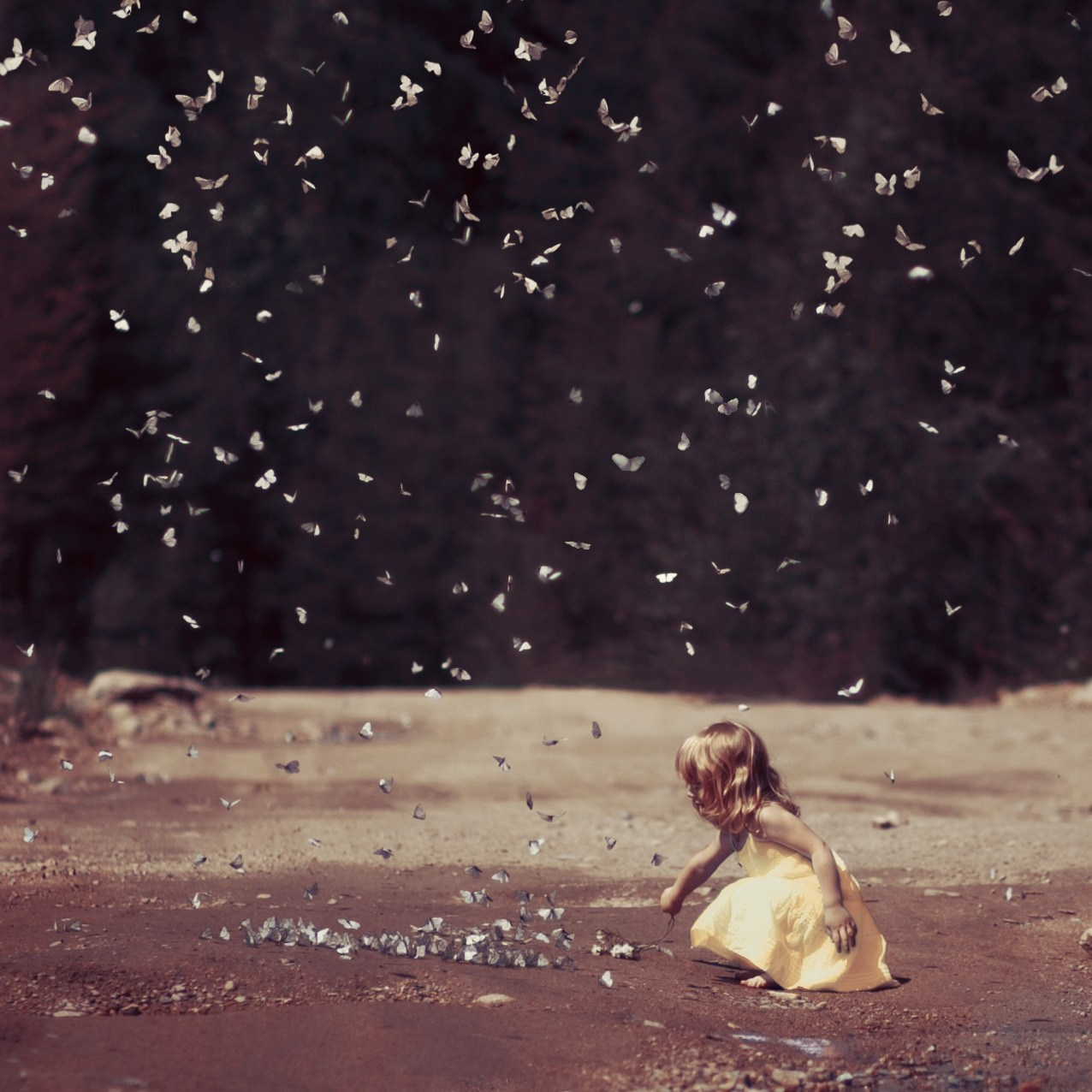 BUTTERFLIES. Арт-фотограф и преподаватель Анна Гражданкина