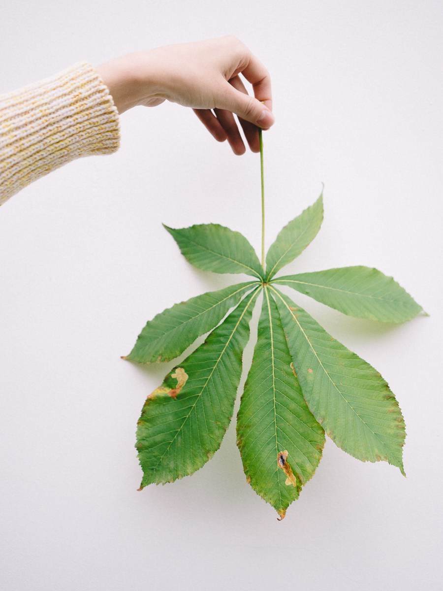 Индивидуальные женские. Андрейко Надежда