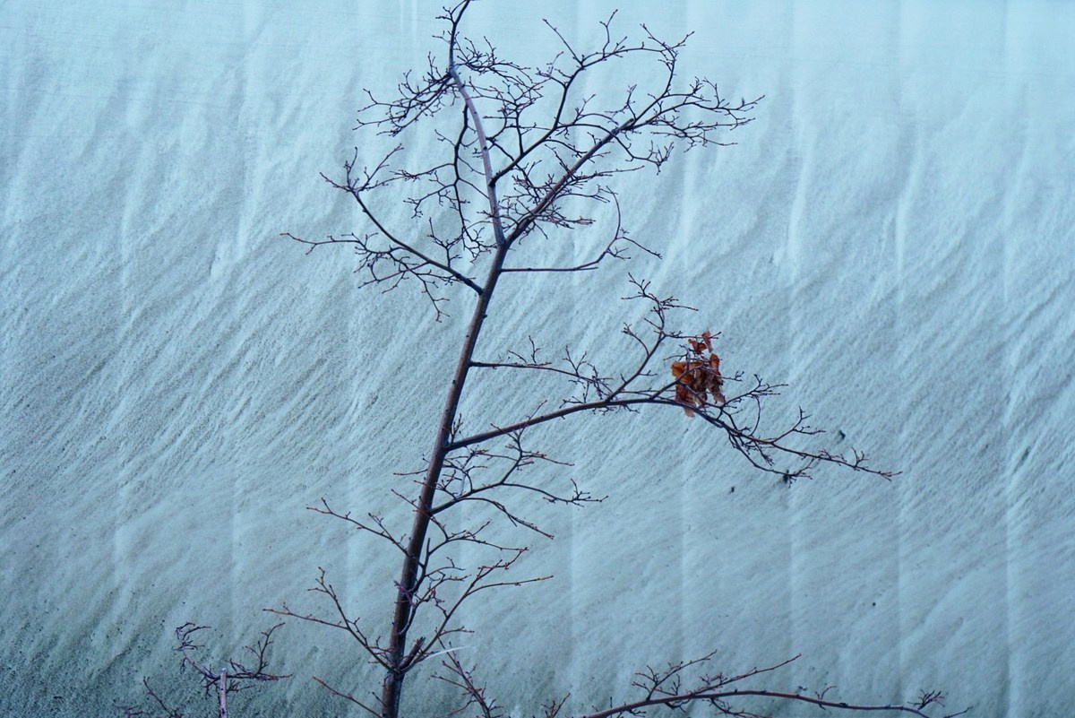 Симуляторы (Каталог № 4). Главная