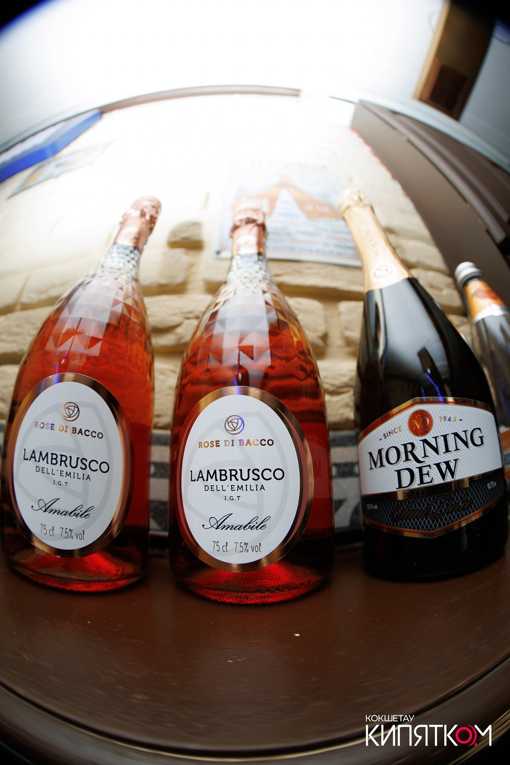 WOW QUIZ. КИПЯТКОМ КОКШЕТАУ