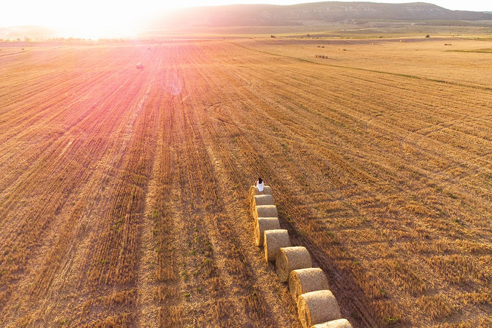 Сестры. Семен Соколов