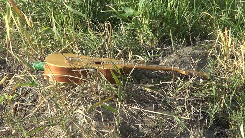 Обертоны. Artist Oleg Semenovykh