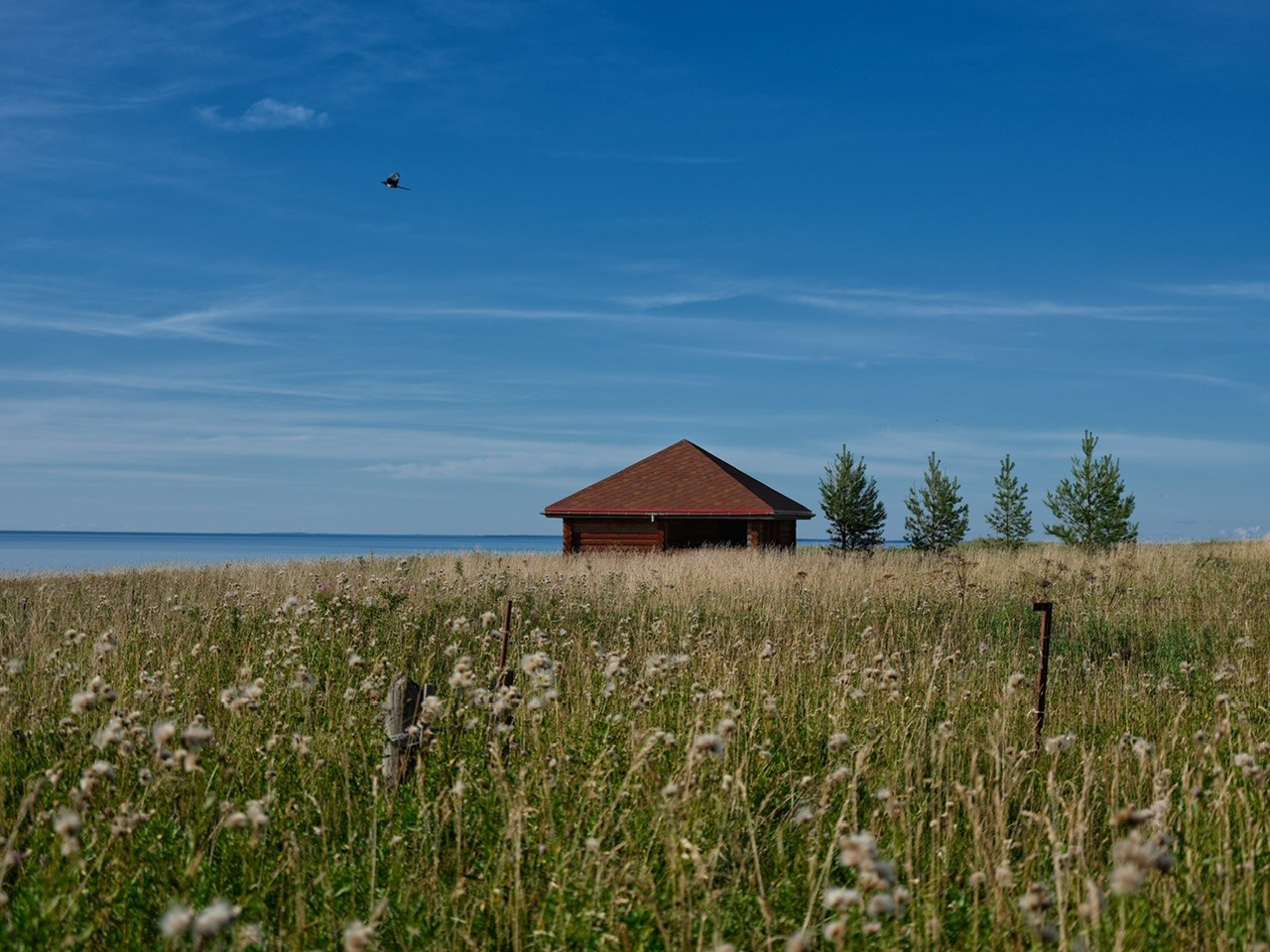 Вологодская область. Фотограф Евгений Андреев