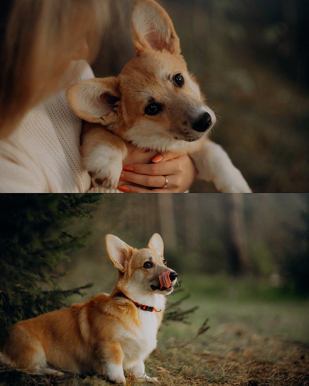 Катя и Берта. Фотограф анималист в Москве и Санкт-Петербурге Свиридова Анна