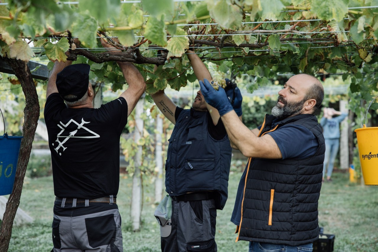 Reseñas. Fotógrafo de bodas y eventos en Europa