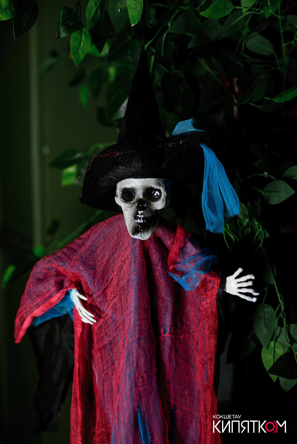 ПАНАЕХАЛИ. КИПЯТКОМ КОКШЕТАУ