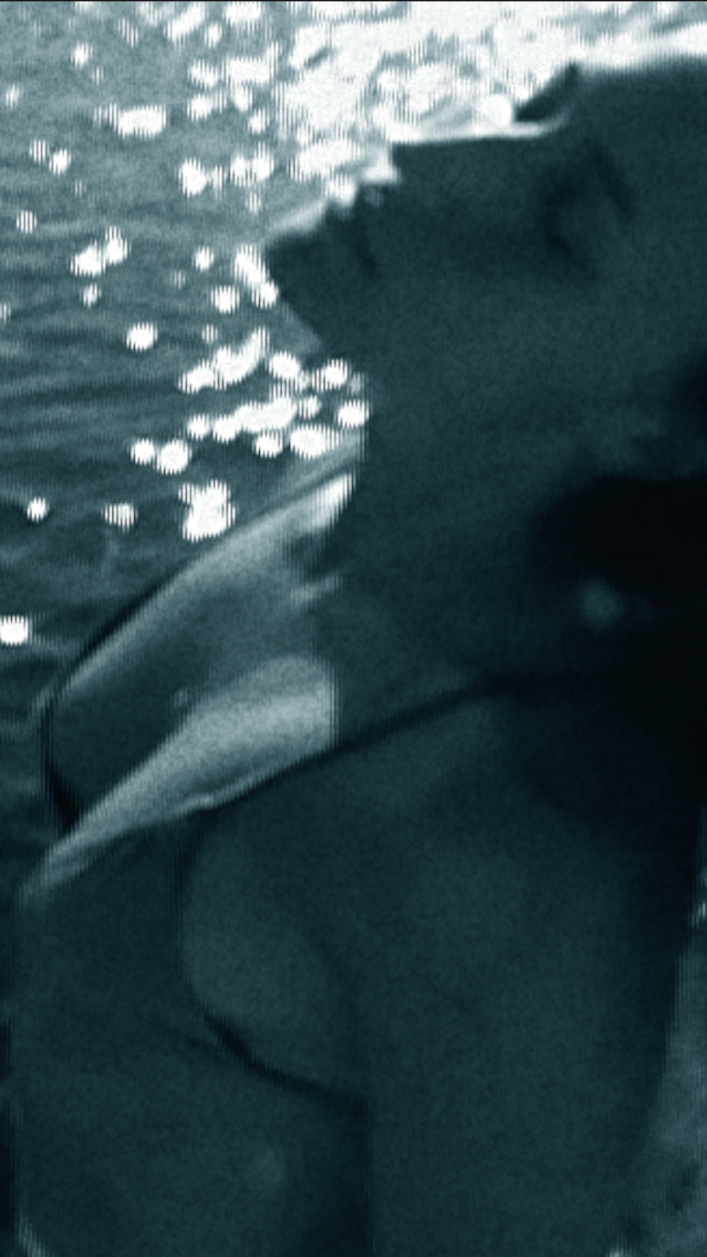 Lost-self in paradise. Carolinetru