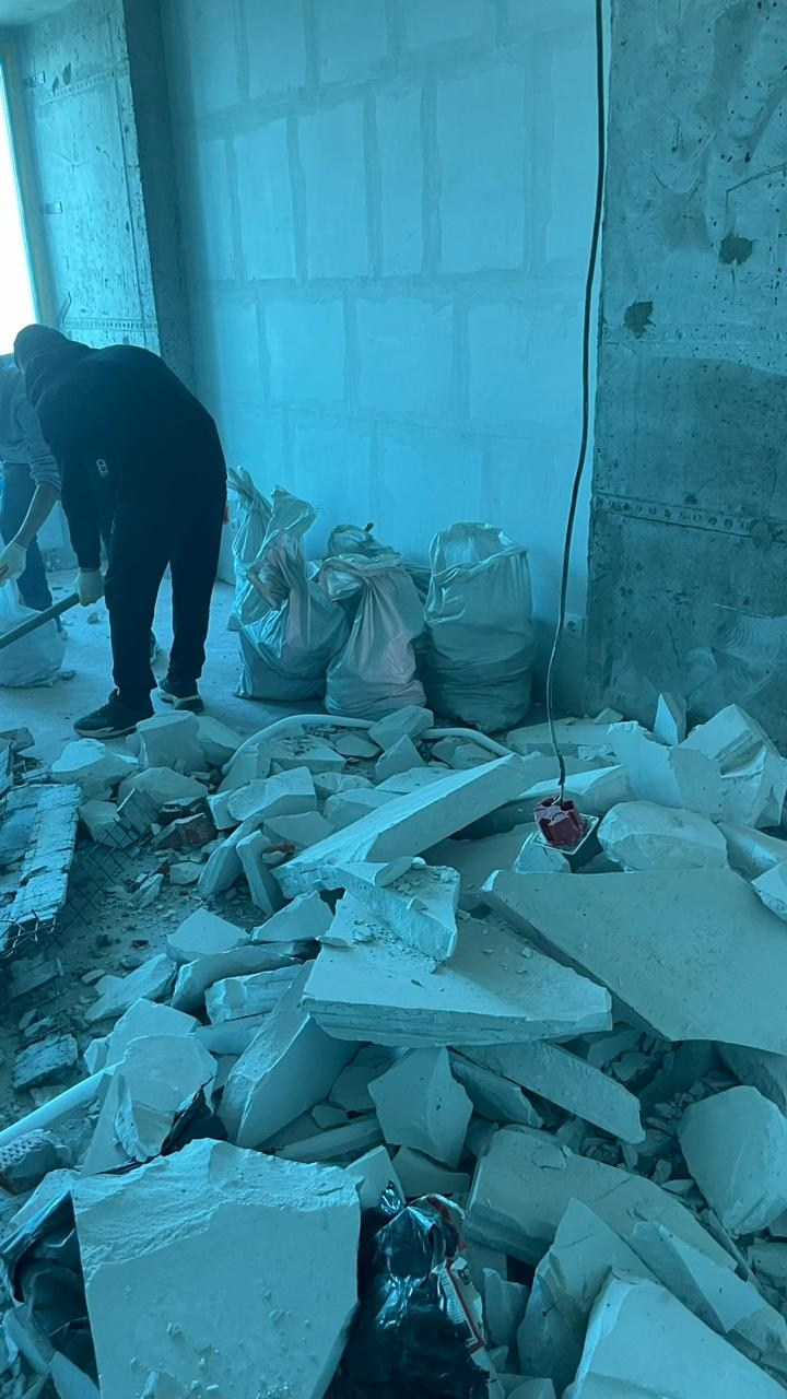 Демонтажные работы. Мамонт