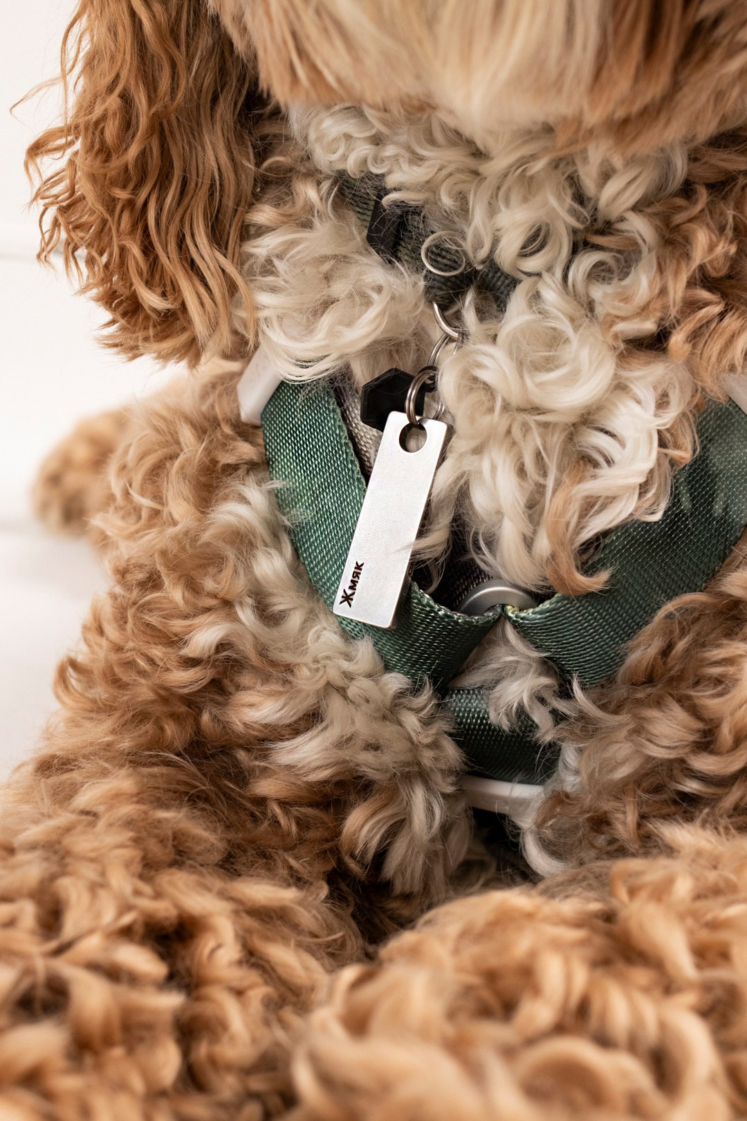 2ГИС & staya. Романова Александра фотограф в Москве