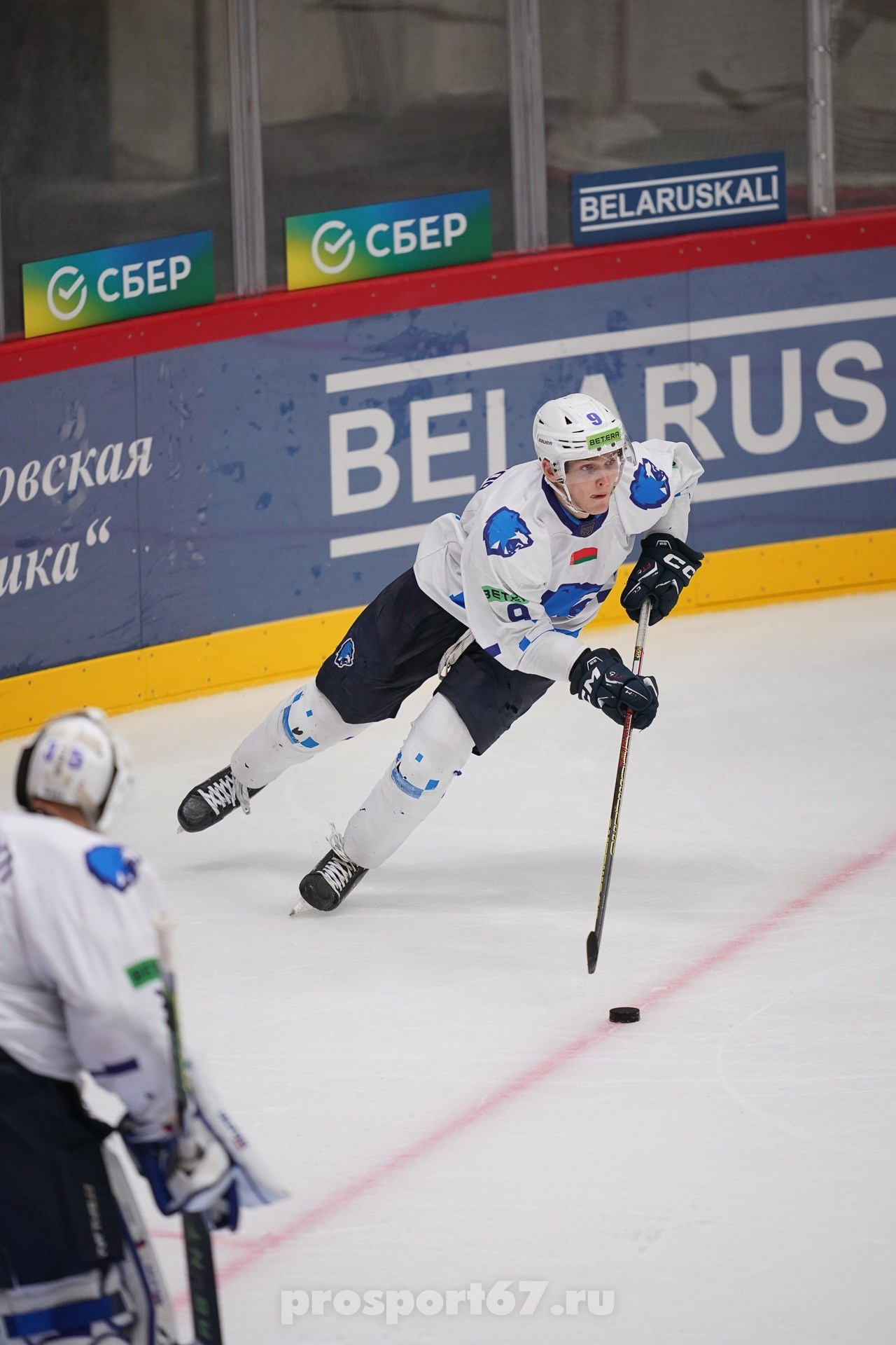 Хоккей. Спортивный фотограф Олег Медведев | prosport67 | Смоленск