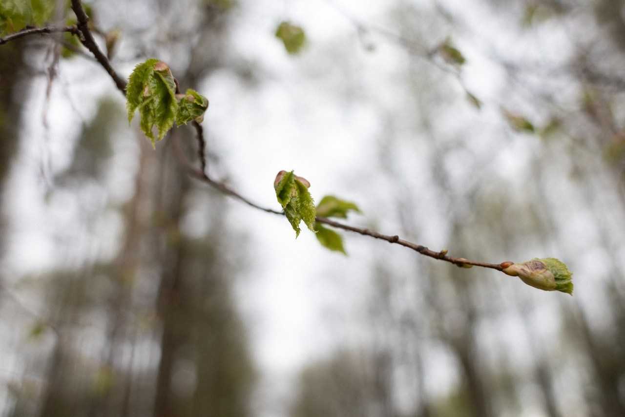 Ваши теплые слова. Фотограф Великий Новгород