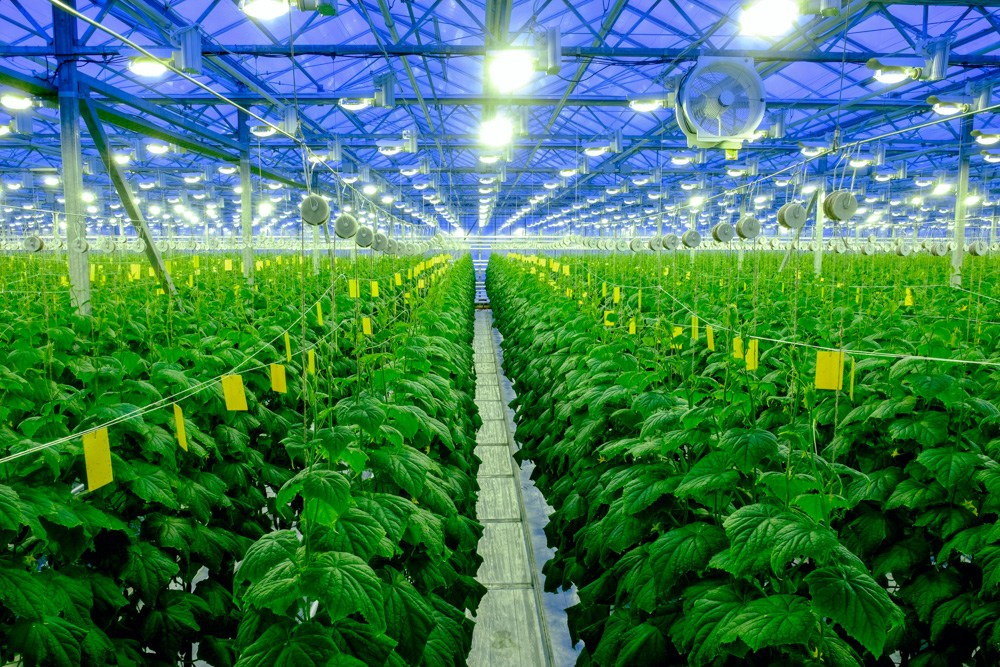 Промышленная рекламная индустриальная фотосъемка  - Портфолио фотографа. Промышленный фотограф | Бизнес-фотосессии | Казань и РФ