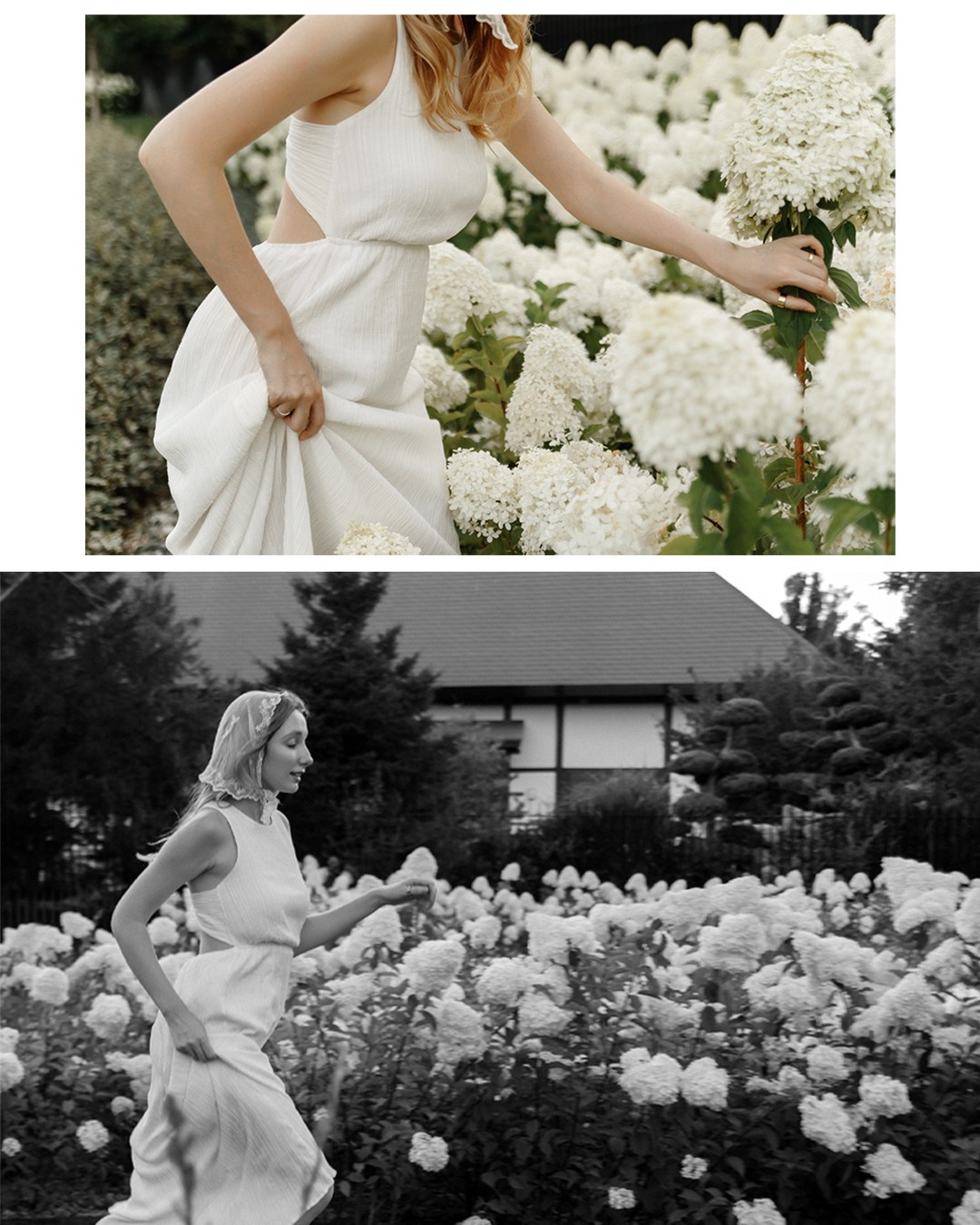 Катя и гортензии. Свадебный фотограф Краснодар Марина Зверева
