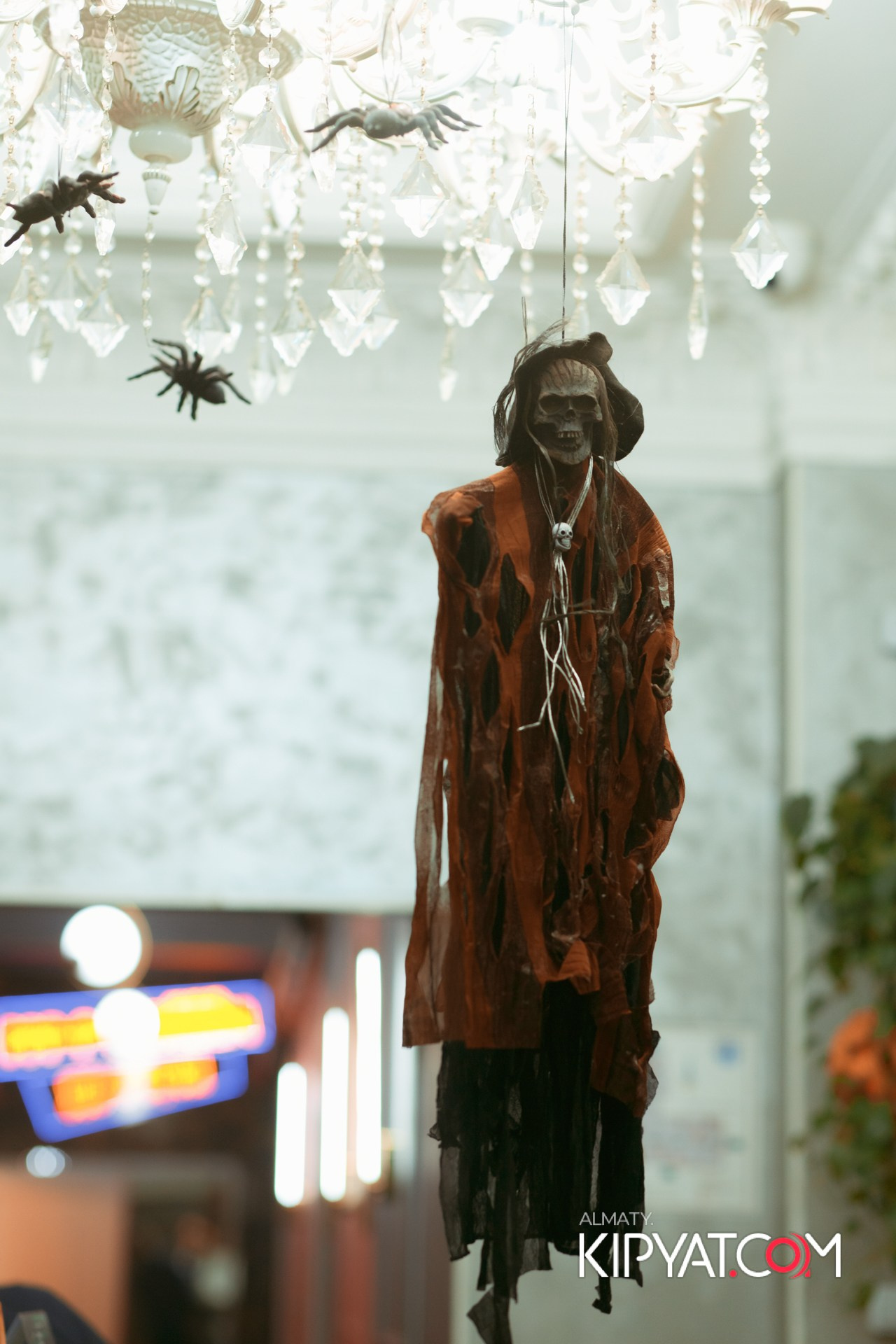 УХО И МЕДВЕДЬ НА КУРМАНГАЗЫ. КИПЯТКОМ АЛМАТЫ!