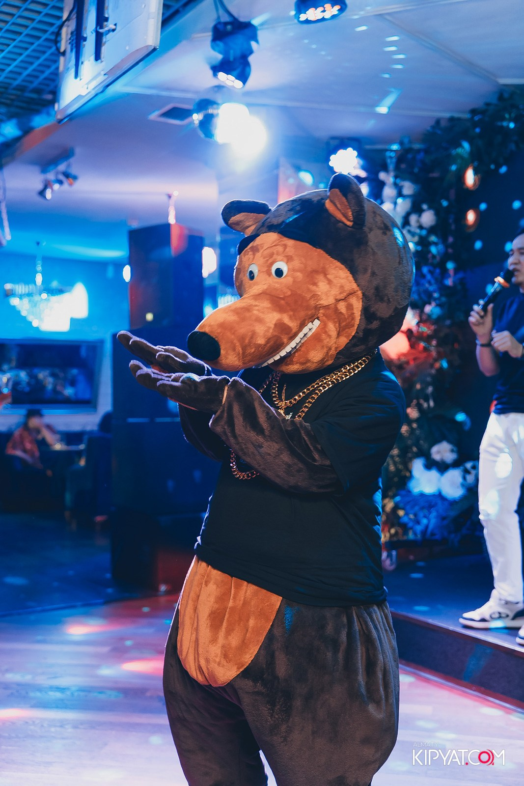 УХО И МЕДВЕДЬ НА КУРМАНГАЗЫ. КИПЯТКОМ АЛМАТЫ!