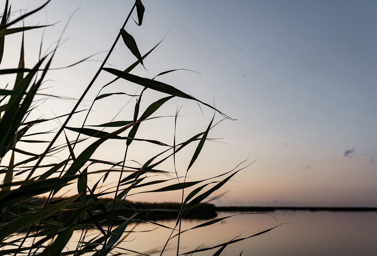 Свадебные и семейные фотографы. Григорий и Ольга Насинник — свадебный фотограф Архангельск