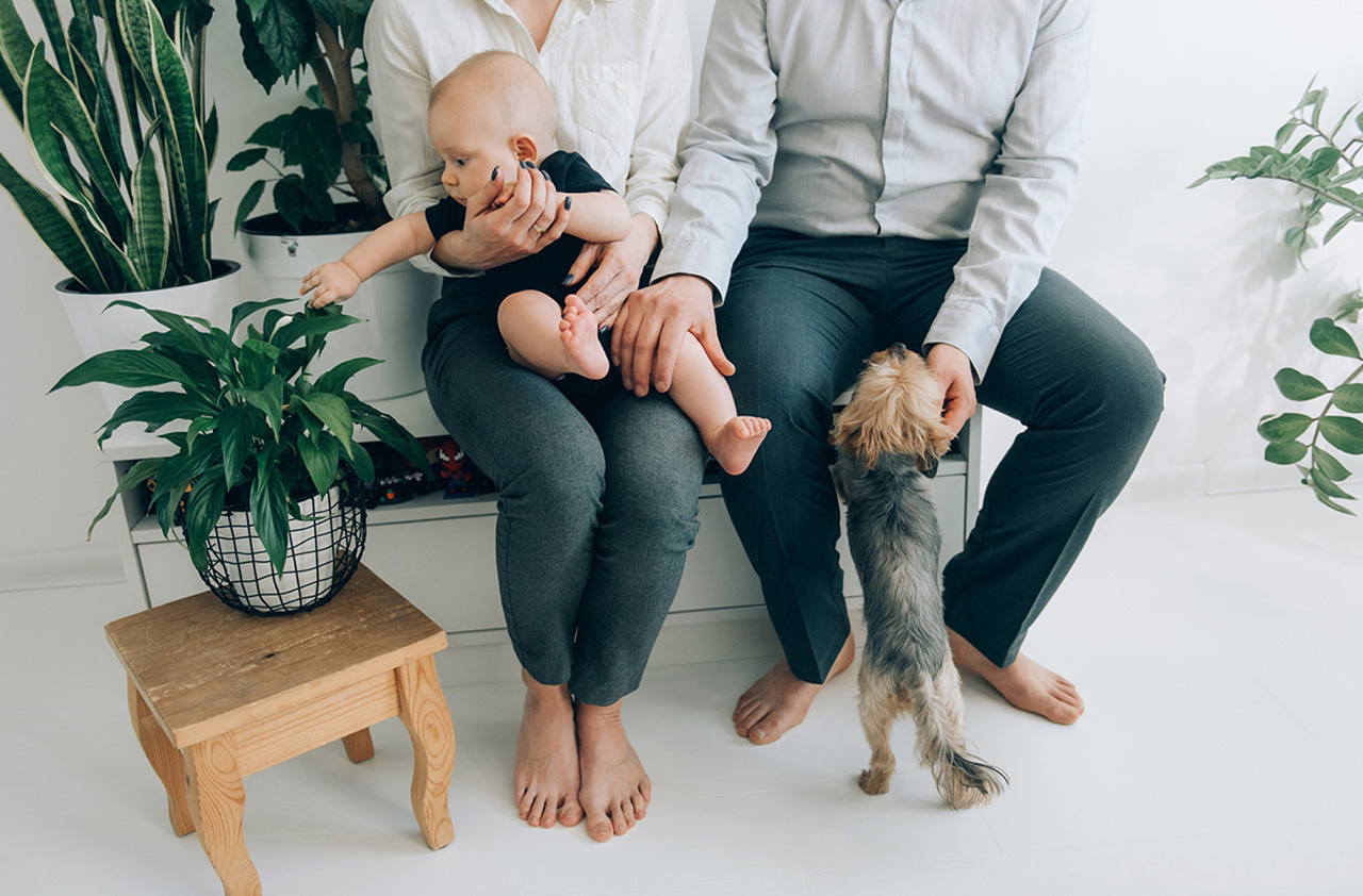 Семейные и свадебные фотографы. Григорий и Ольга Насинник — свадебный фотограф Архангельск