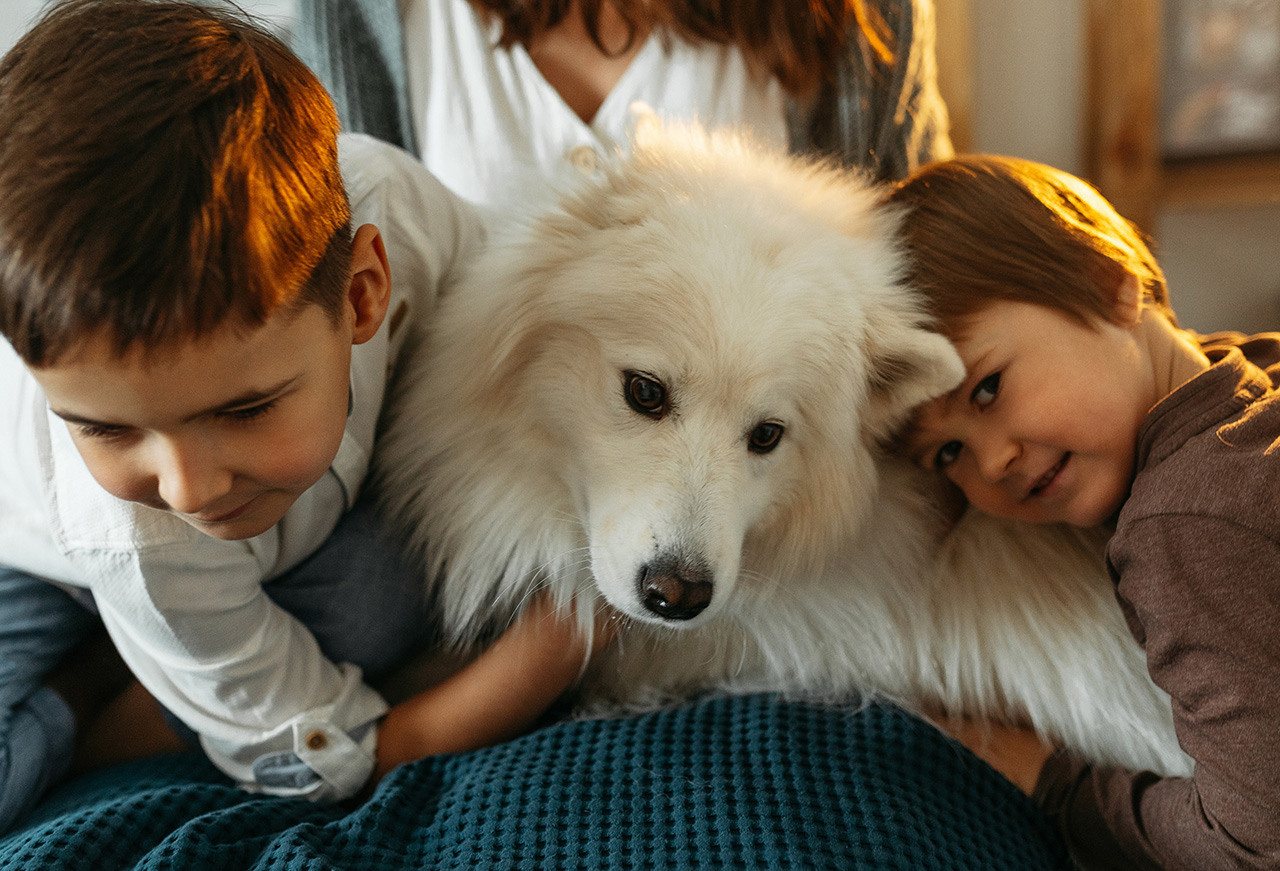 Семейный и свадебный фотограф. Григорий и Ольга Насинник — свадебный фотограф Архангельск