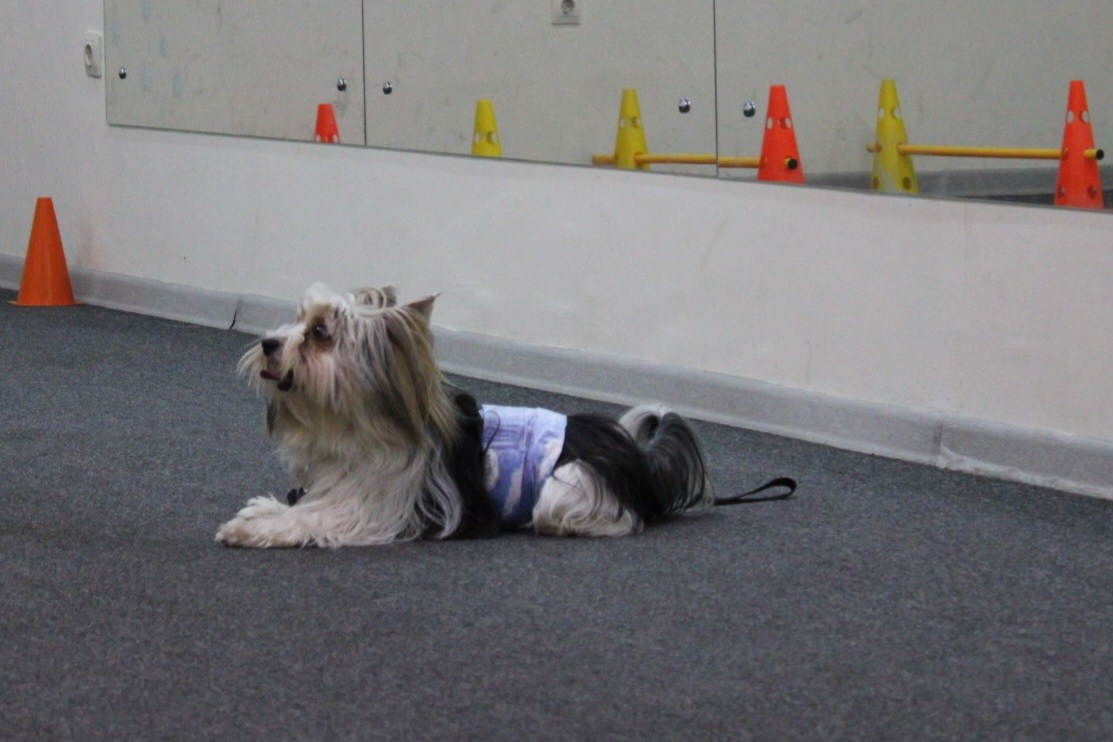 Репортаж УС «ДЦ Ральф». Катя Попова|ЛайфСтайл фотограф