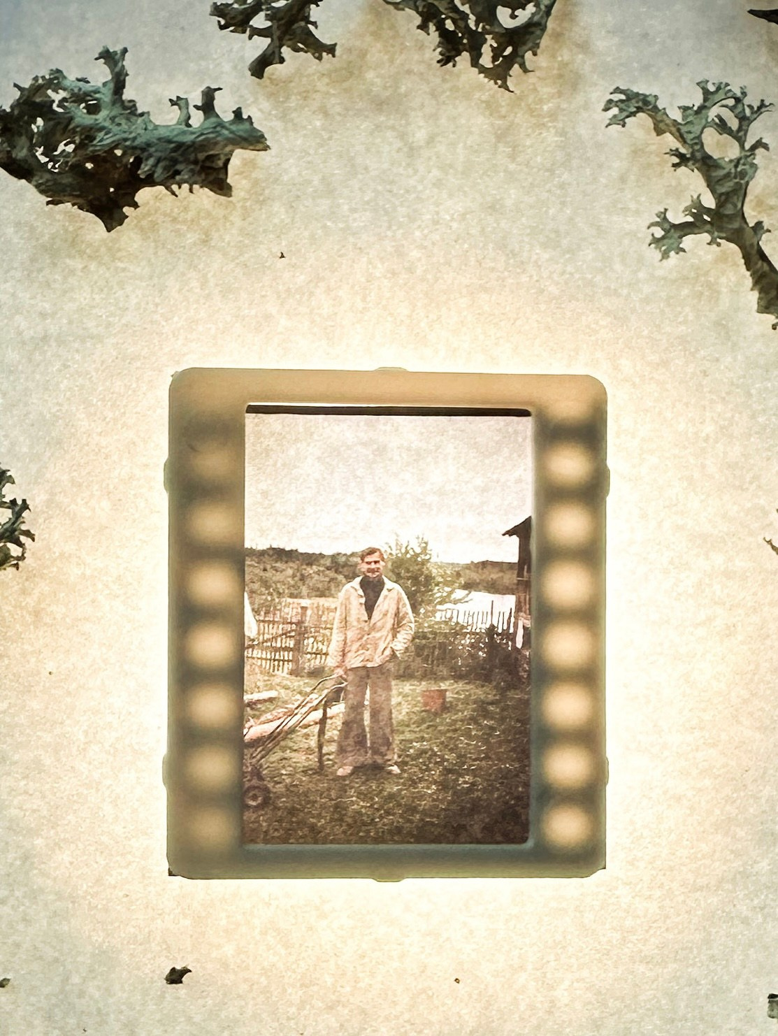 ART и Mixed media. Семейный LIFESTYLE фотограф в Москве