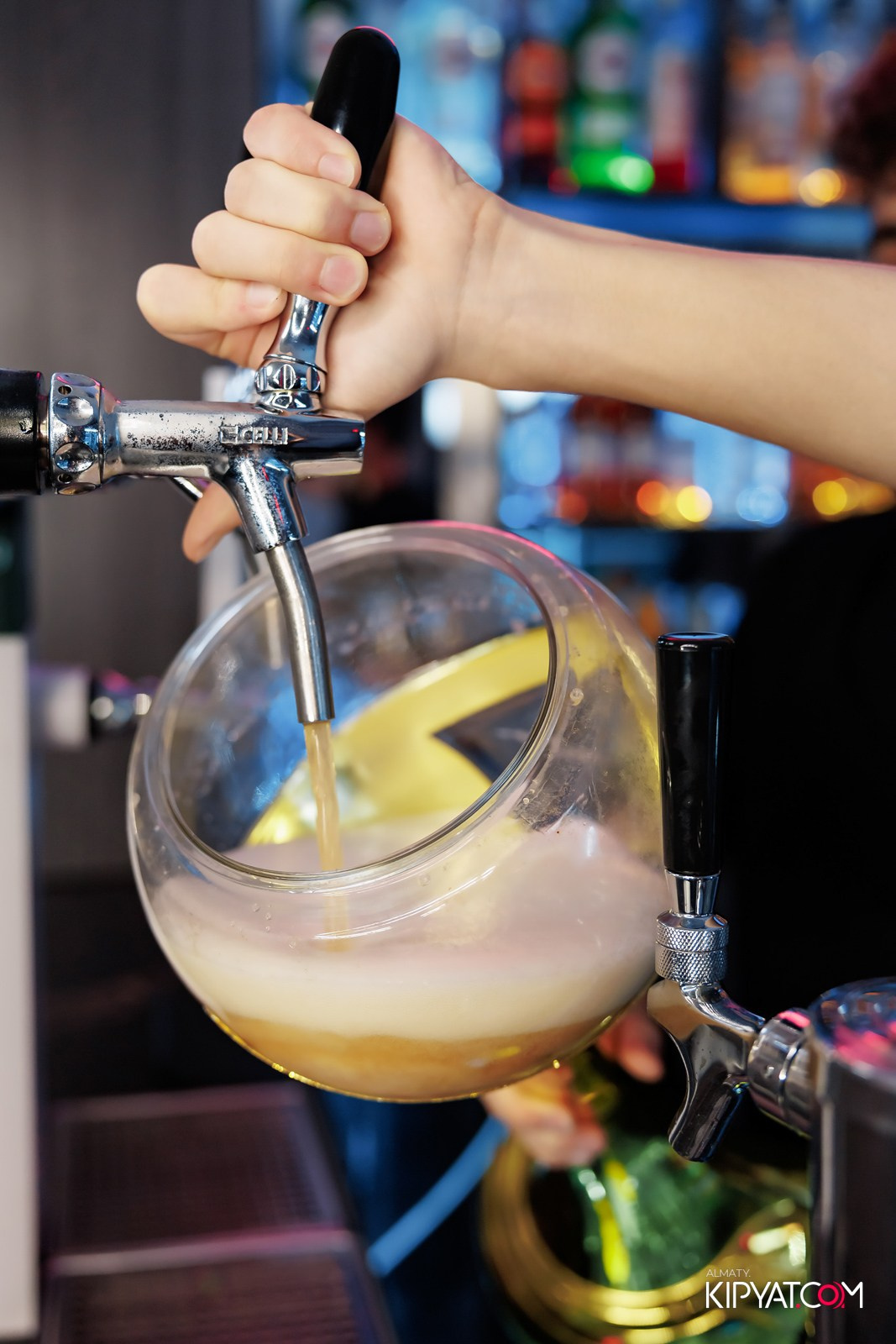 УХО И МЕДВЕДЬ НА ГАГАРИНА. КИПЯТКОМ АЛМАТЫ!