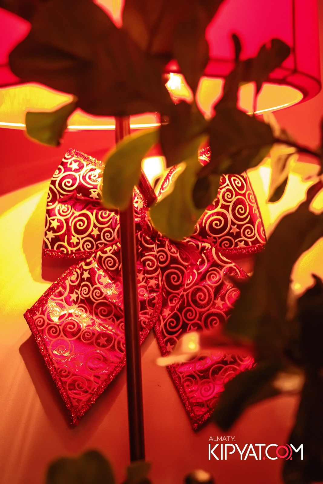 РЕСТОРАН BARFLY. КИПЯТКОМ АЛМАТЫ!