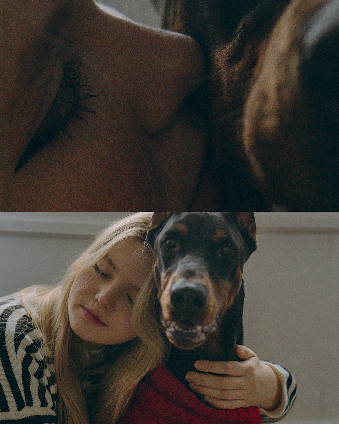 Саша и Асти. Фотограф анималист в Москве и Санкт-Петербурге Свиридова Анна