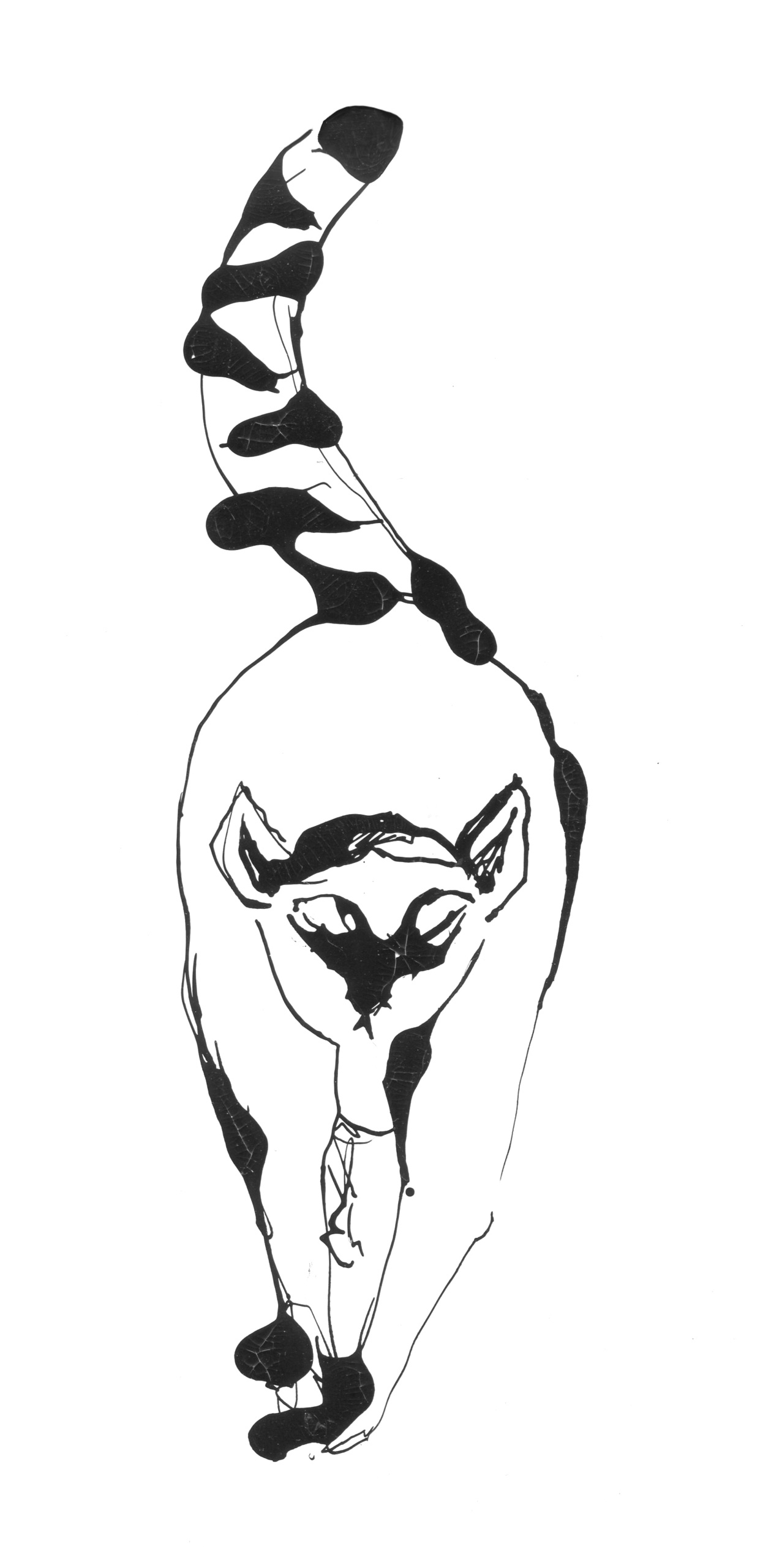 Анималистические иллюстрации