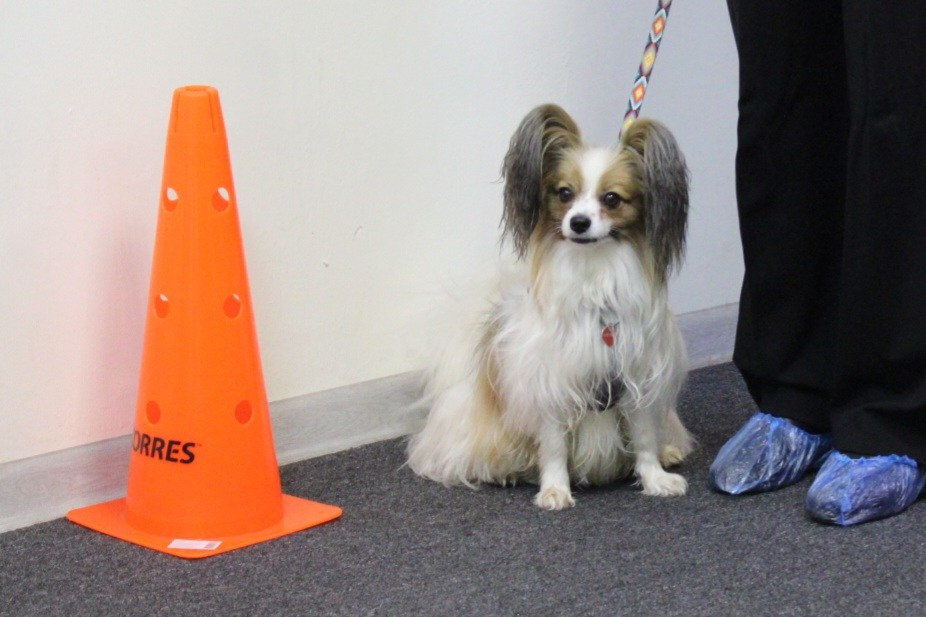 Репортаж УС «ДЦ Ральф». Катя Попова|ЛайфСтайл фотограф