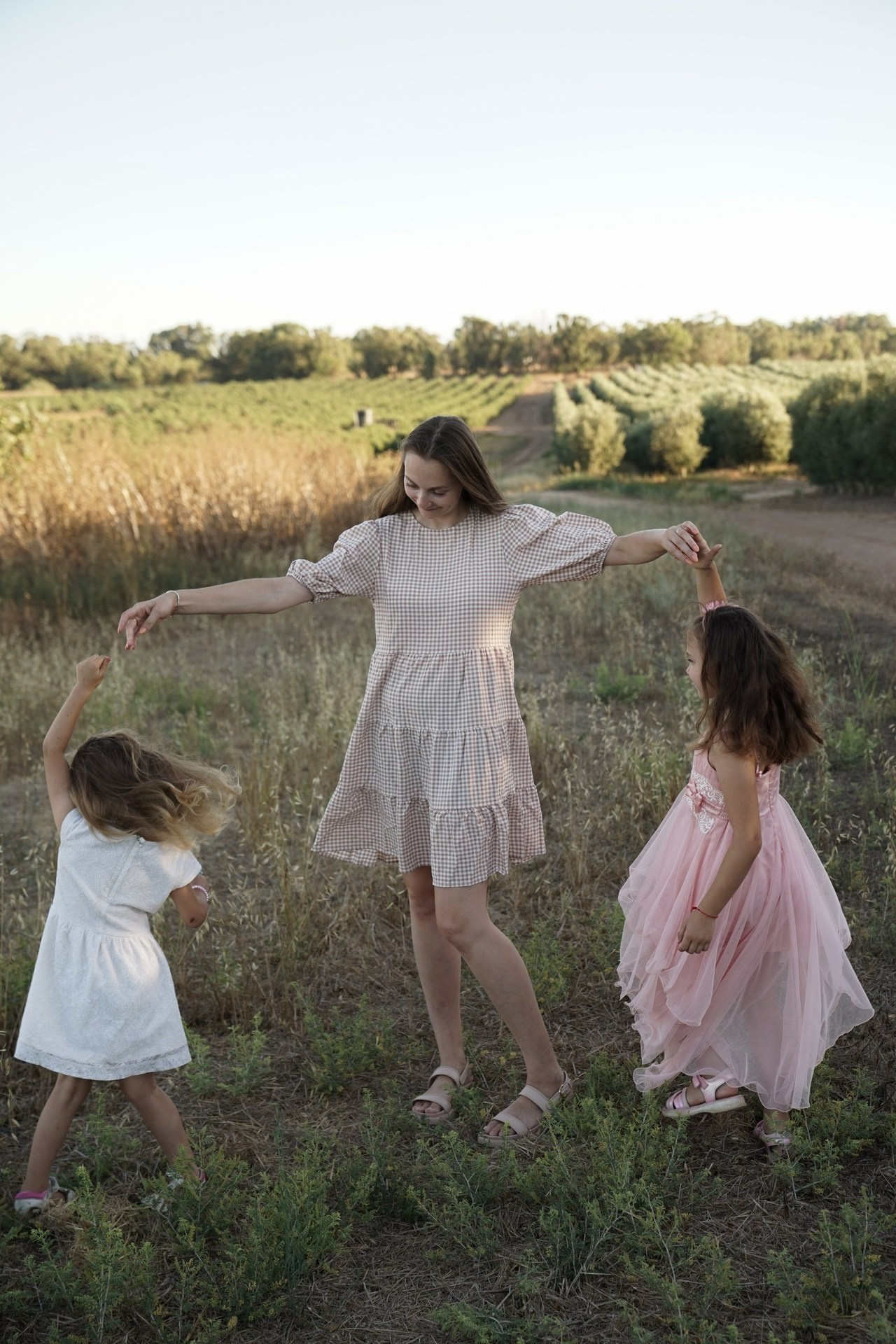 Work reviews. Photograph and videograph in Israel