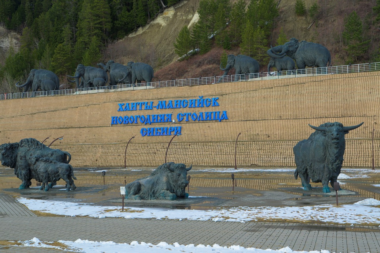 Отзывы. Фотограф анималист Елена Галдина г. Красноярск