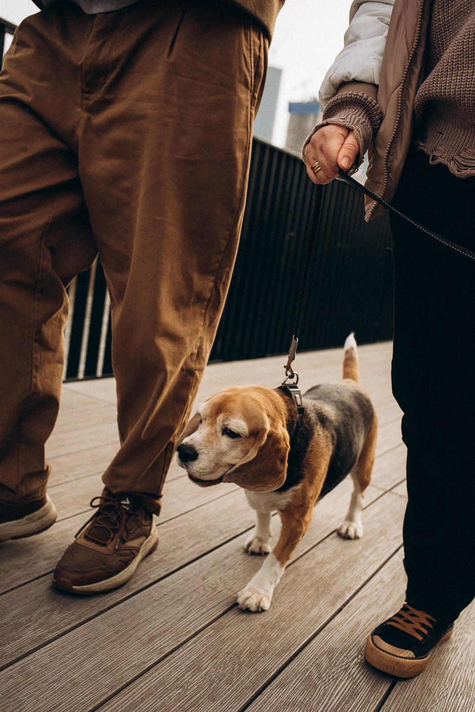 Прогулка | в городе