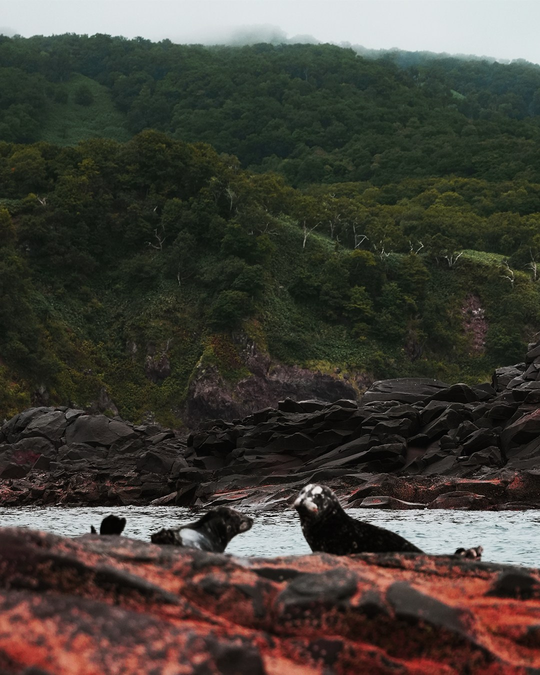 Travel (1). Ларин Валентин. Видеооператор. Cinematographer