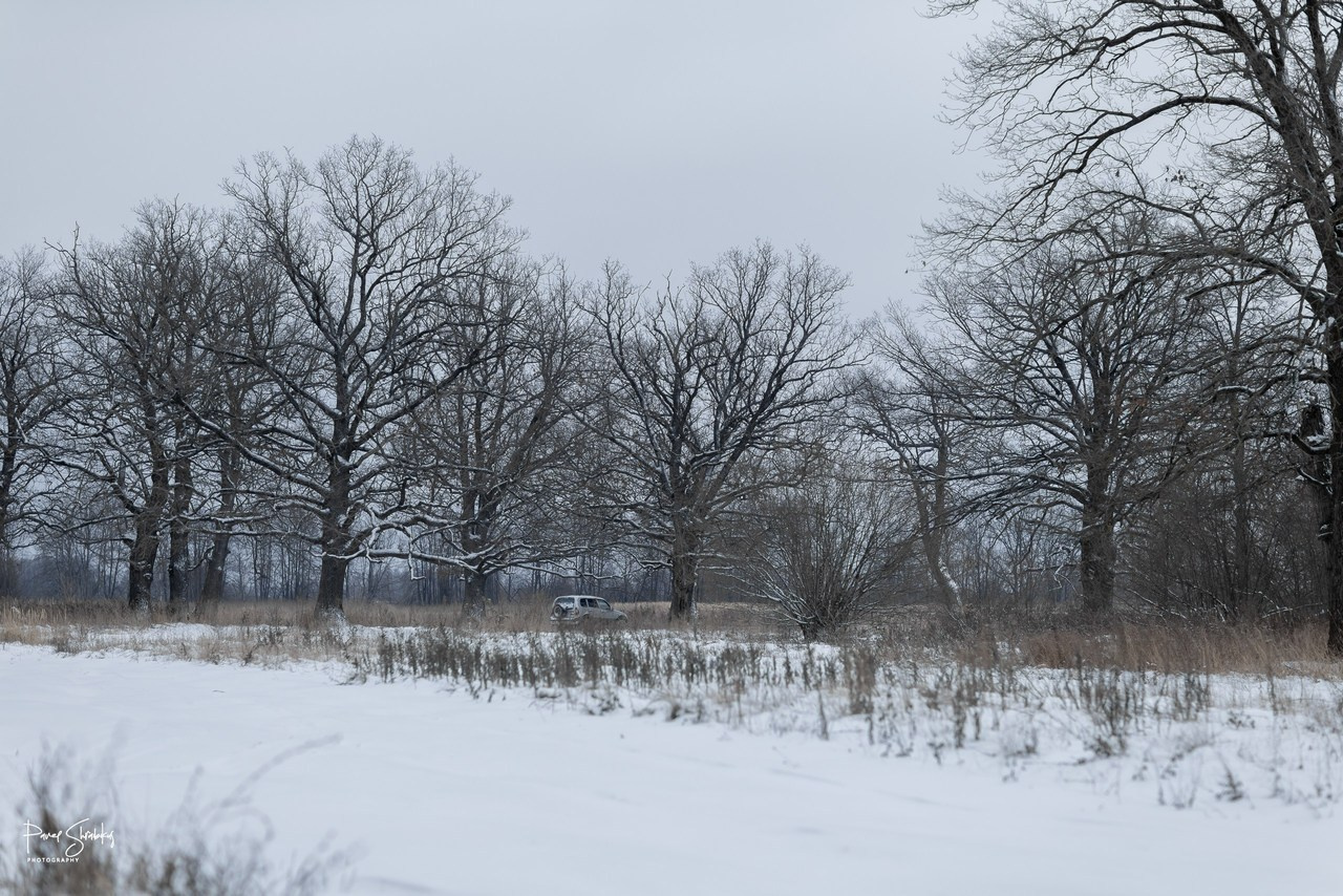 Отзывы. Фотограф Павел Шрайбикус