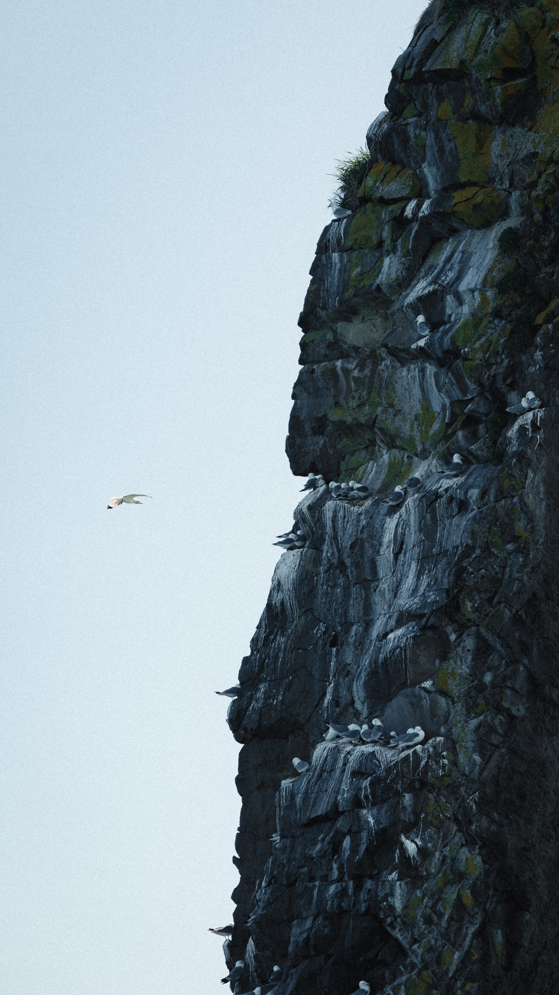 Кампейн для бренда «Hello Kamchatka». Фотограф Ди Садчиков