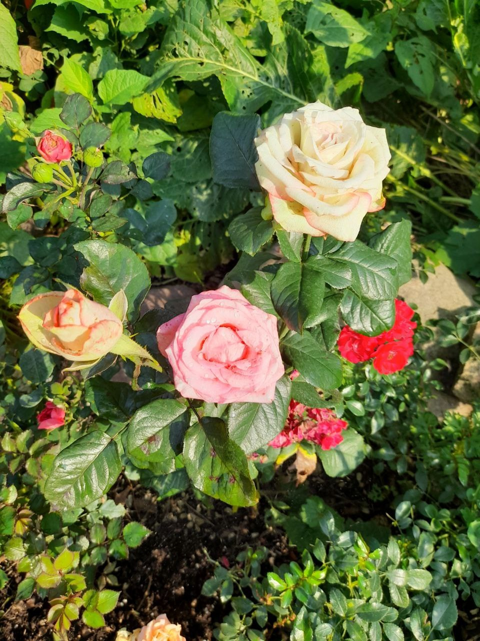 Успение. Съёмка ролика (2024-08-28). Собор Отрасли