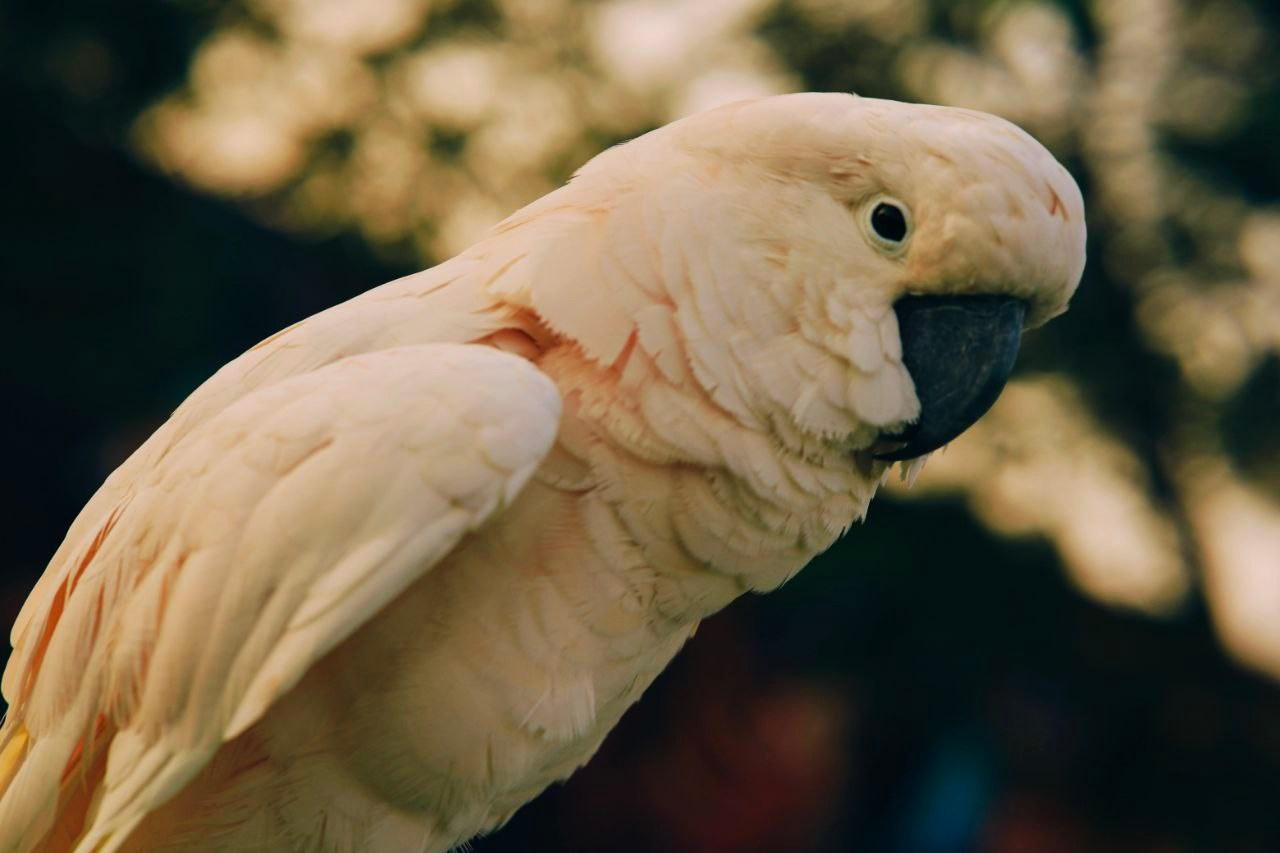 Эль-Джубайль. СА. 2025. Фотограф Михаил Олейник