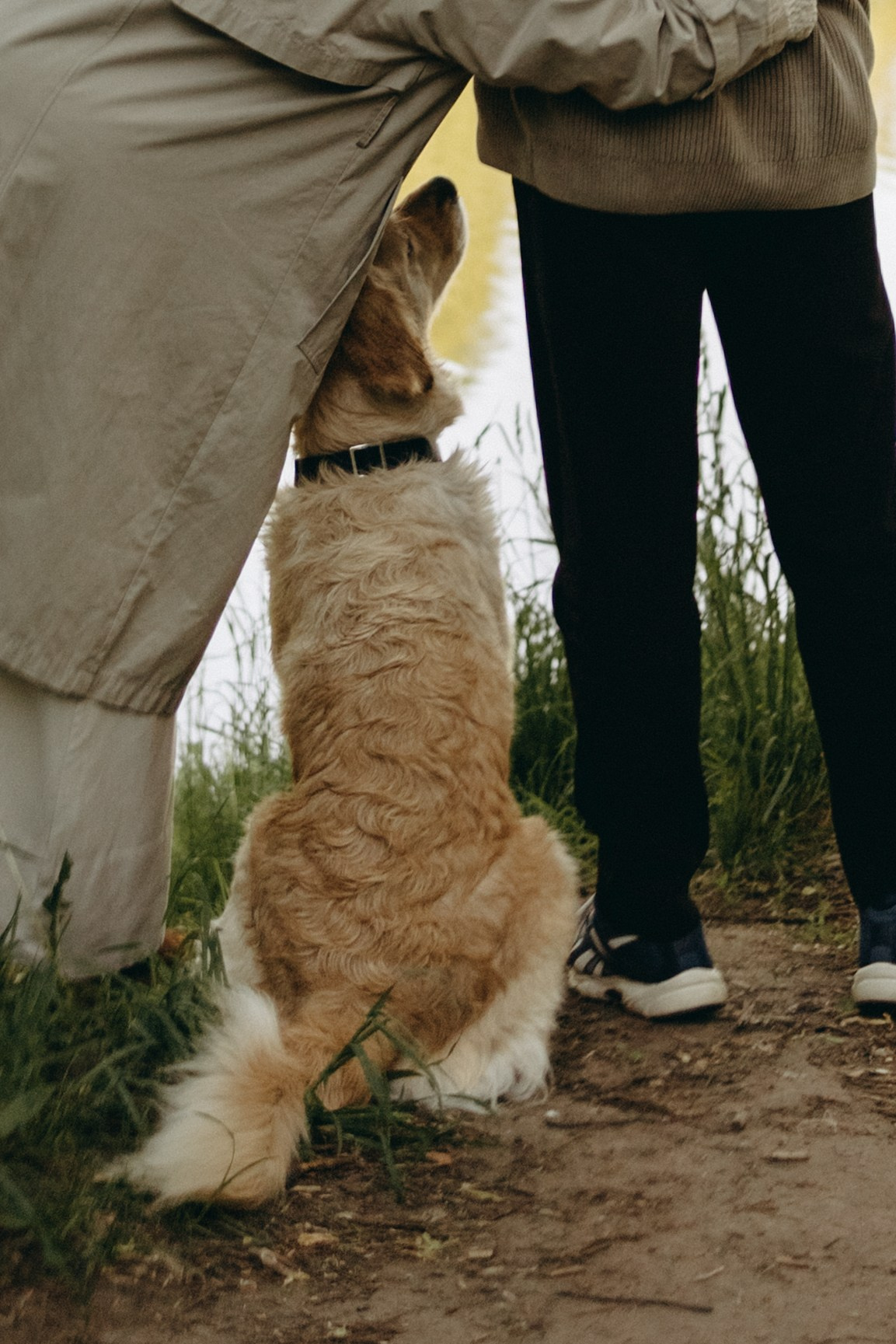 Пенни и ребята. Фотограф — Анималист | Санкт-Петербург