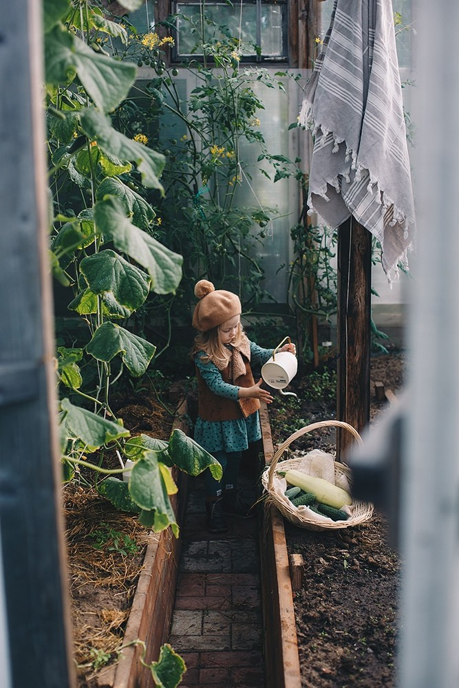 Фотосессия в теплице. Фотограф Евгения Мальцева, Архангельск