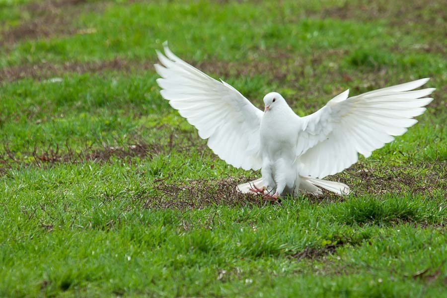 Street art. Фотостудия Алматы. Фотосъемка Алматы. Фотосессия Алматы. Фотокурсы. Обучение фотографии. Аренда студии