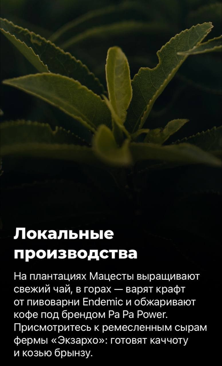 Чем заняться в Сочи весной. Милана Довгаль - семейный фотограф и видеограф  в Адлере и Сочи