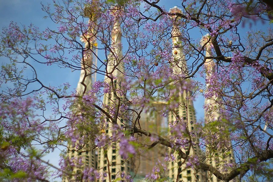 Путешествия. Фотограф Ирина Абзалова