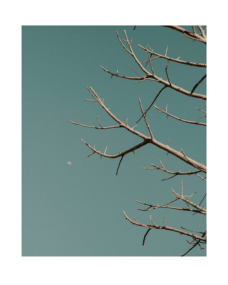 Арт фотограф Виктория Фатина Москва | visual art