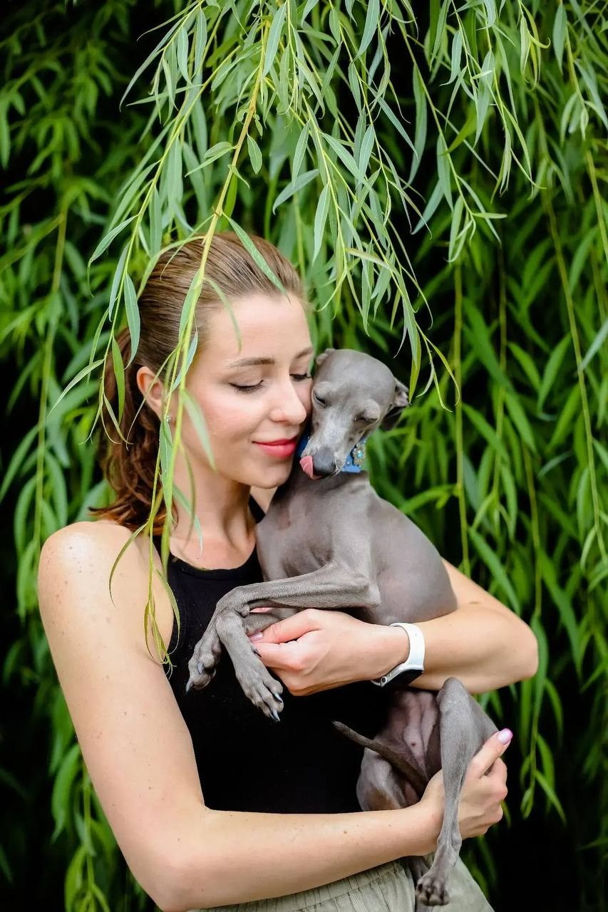 Asti Sapphire Eveline Fler-De-Lys. Профессиональный питомник левреток РКФ/FCI ASTI SAPPHIRE 💎 Сочи|Санкт-Петербург