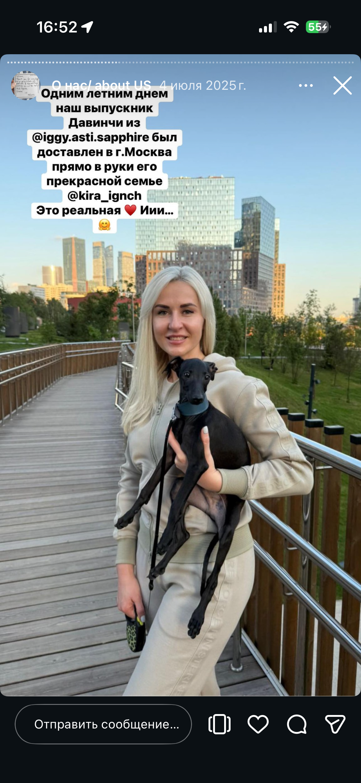 Отзывы от наших любимых владельцев. Профессиональный питомник левреток РКФ/FCI ASTI SAPPHIRE 💎 Сочи|Санкт-Петербург