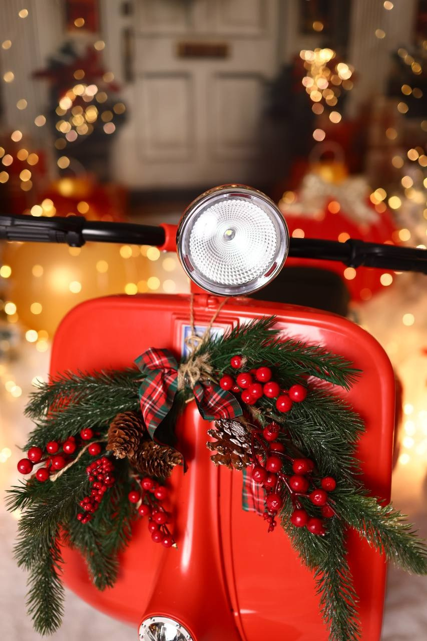 Интерьер фотостудии «Антураж» на Ковалёва, 5. Новый год 2025–2026 гг. Семейный и детский фотограф в Краснодаре Анна Трашкова