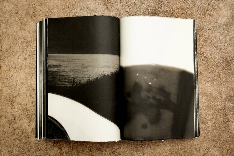 Как форма книги может влиять на концепт?. Самоорганизация Низина