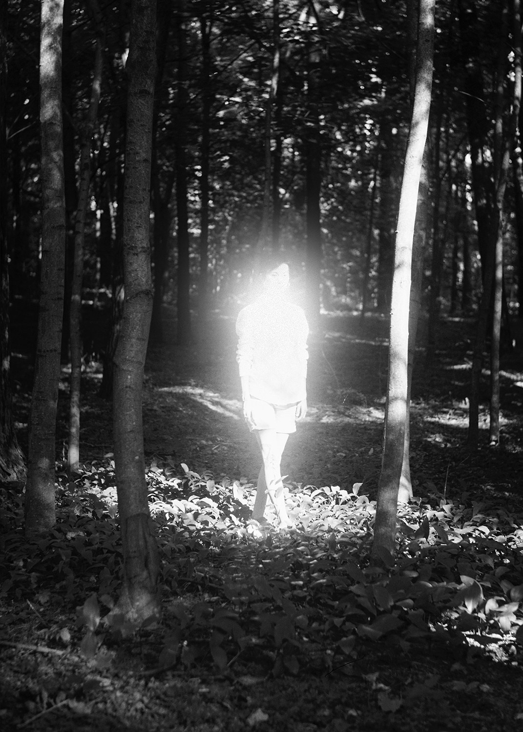 Таня Щербинина «Strange landscapes». Самоорганизация Низина