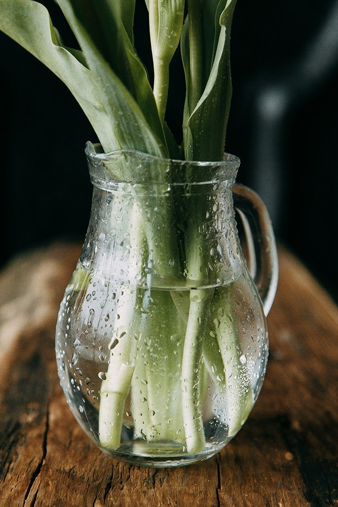 ПАСХАЛЬНАЯ ИСТОРИЯ