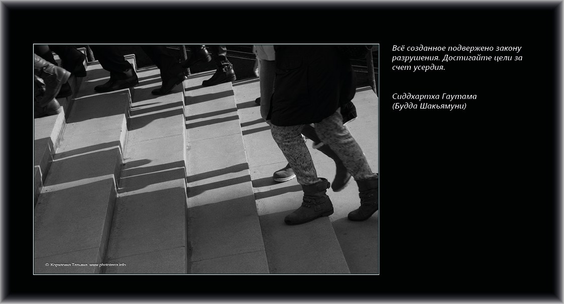 Совет дня — ориентир. Татьяна Корчагина. Фотограф, художник. Обучение фотографии